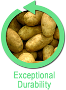 Exceptional Durability produce Container Rental