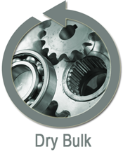 Dry Bulk Container Rentals
