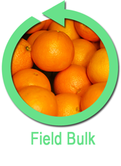 Field Harvest Bin Rentals